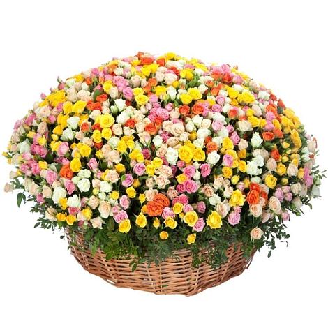 Премиум букет из: Розы в Домбае